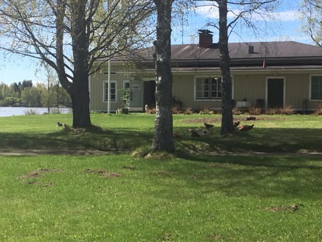 Lomatila Ollila Farm Stay Kerimäki Extérieur photo