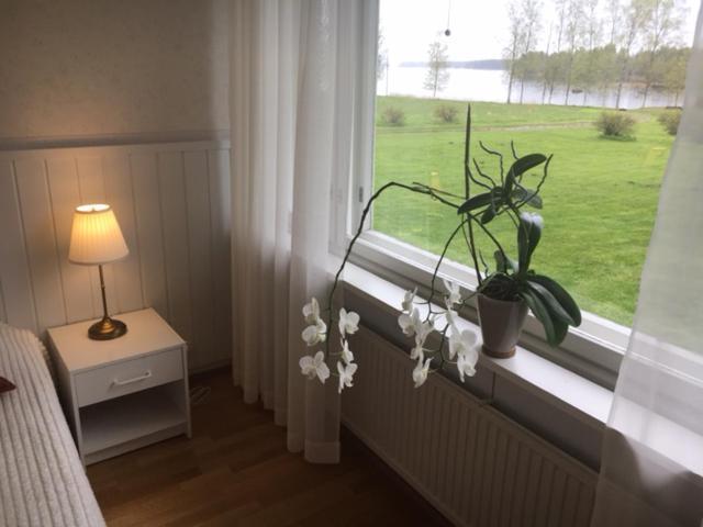 Lomatila Ollila Farm Stay Kerimäki Extérieur photo